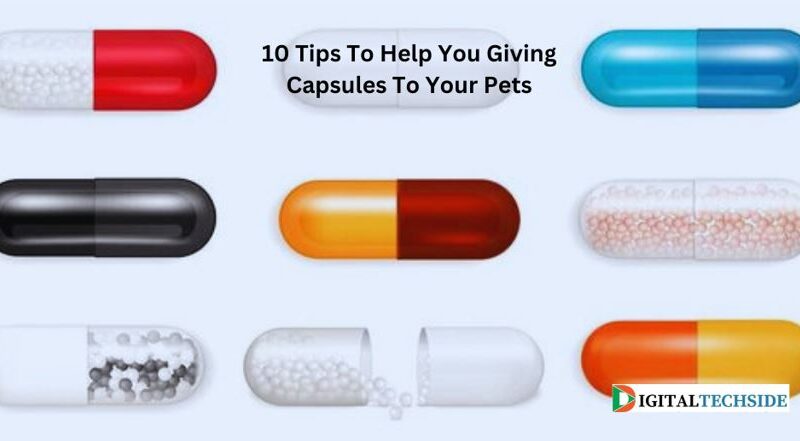10 Tips To Help You Giving Capsules To Your Pets