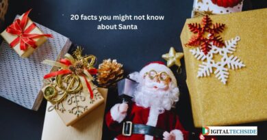 20 facts you might not know about Santa