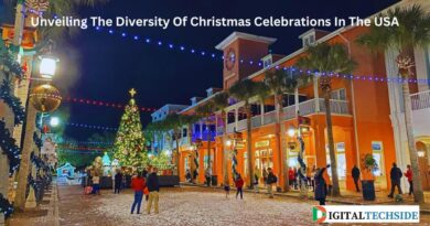 Unveiling The Diversity Of Christmas Celebrations In The USA