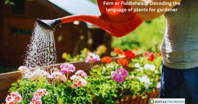 Fern or Fiddlehead? Decoding the language of plants for gardener